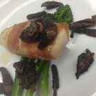 Prosciutto Wrapped Chicken Breast with Roasted Morels and Broccolini Prosciutto Wrapped Chicken Breast with Roasted Morels and Broccolini